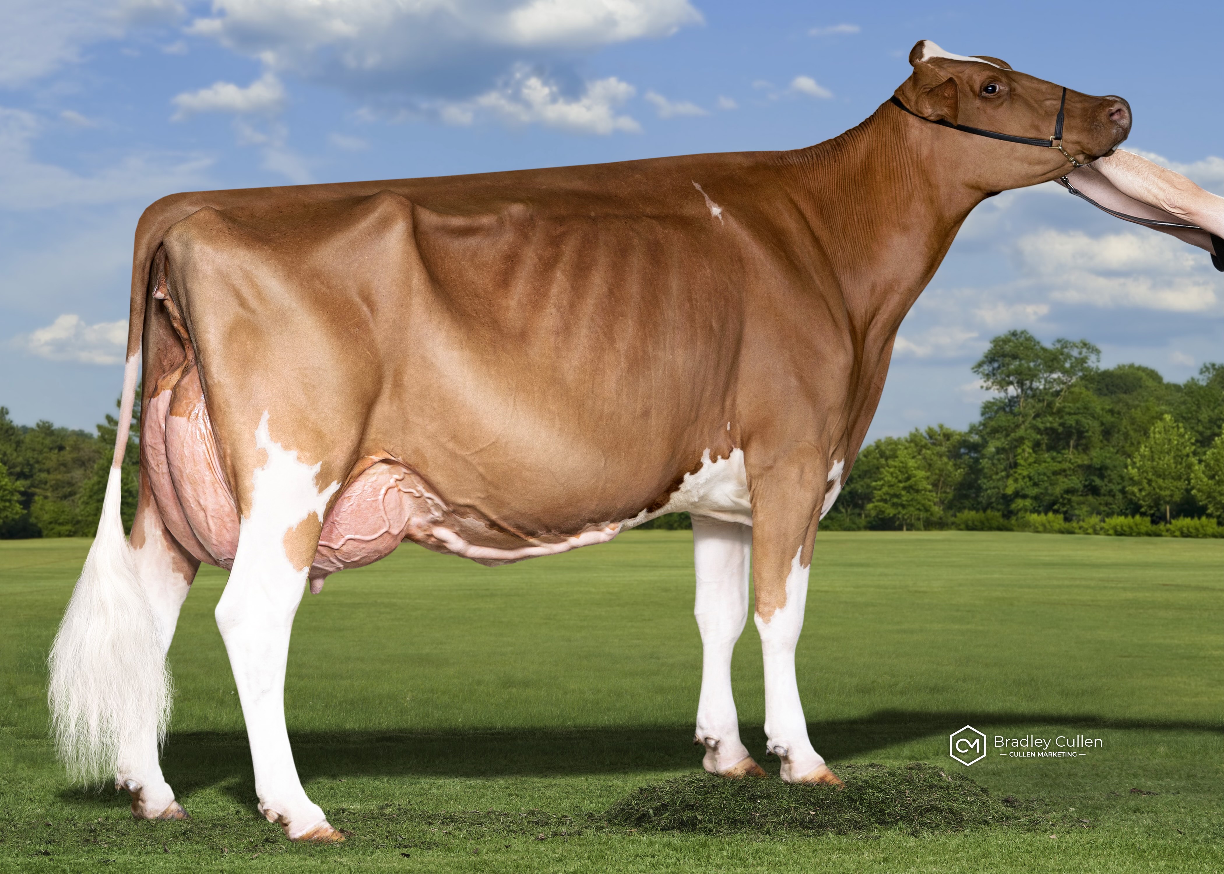 4TH - Bluechip EV Shesaawesome Apple-RED