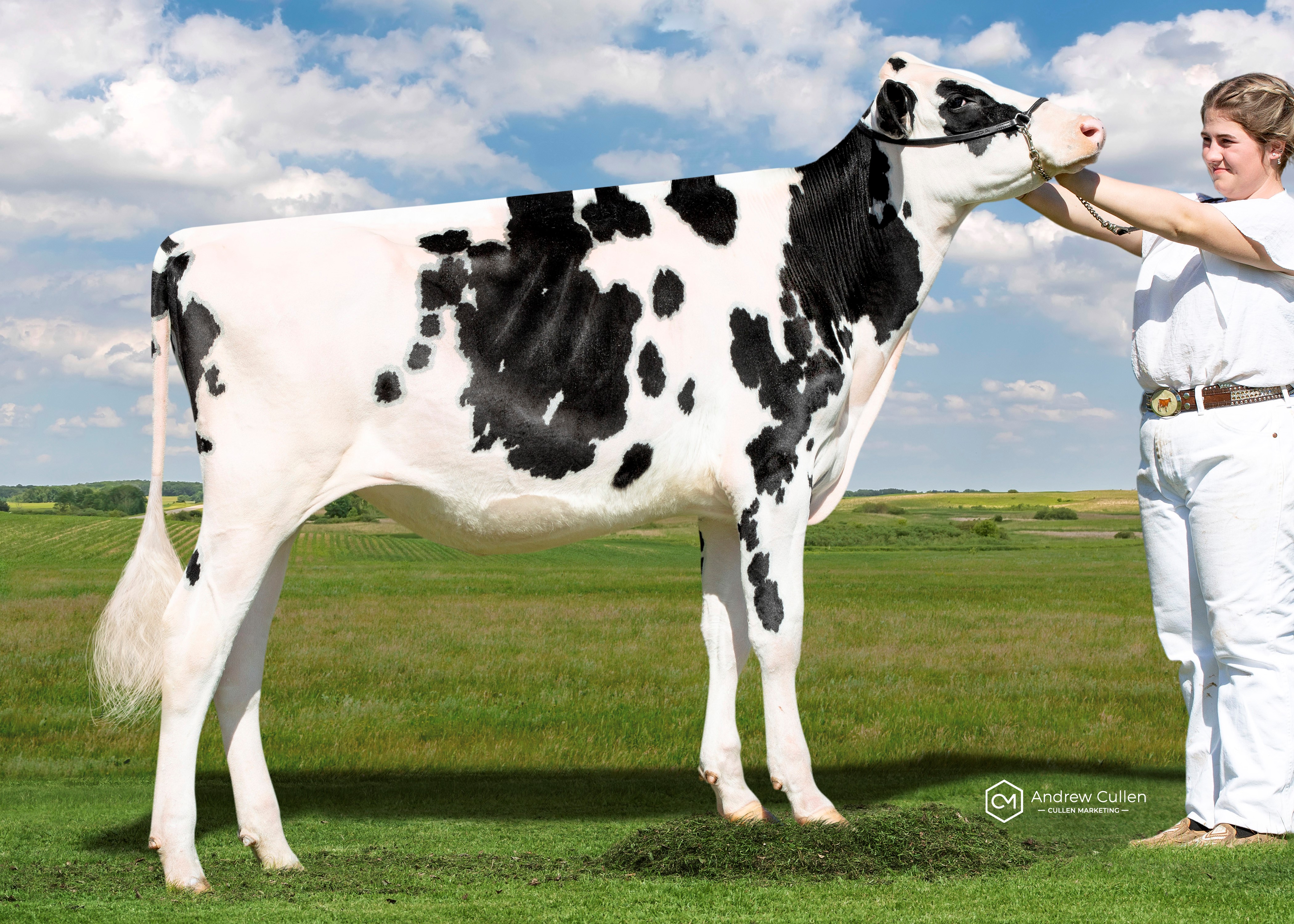 Hillview Park Lambda Luscious