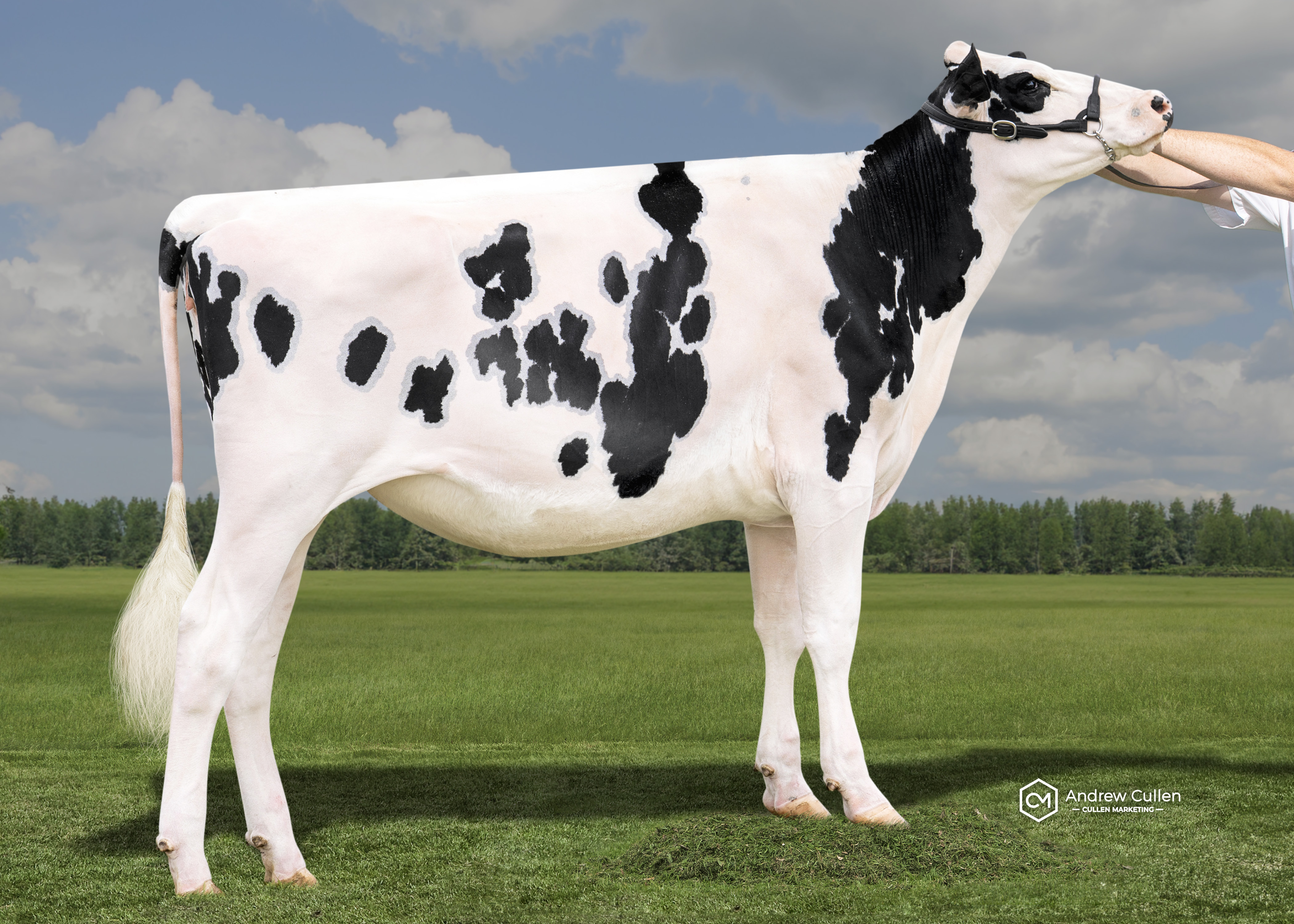 Katandra Park Chiefs Rae