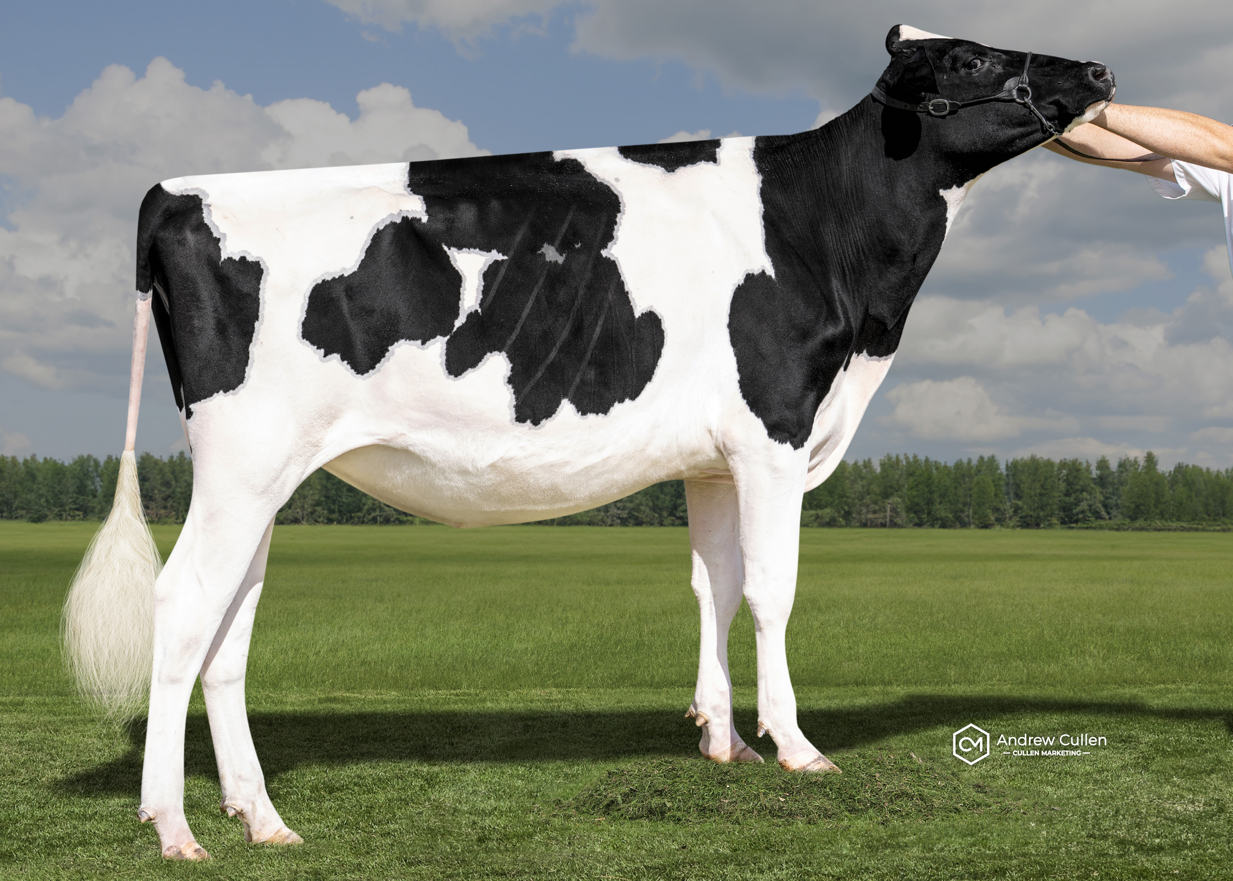 Katandra Park Lambda Lulu