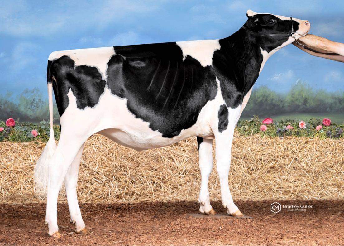 6TH - Lightning Ridge CMD Thunder Nico-TWIN