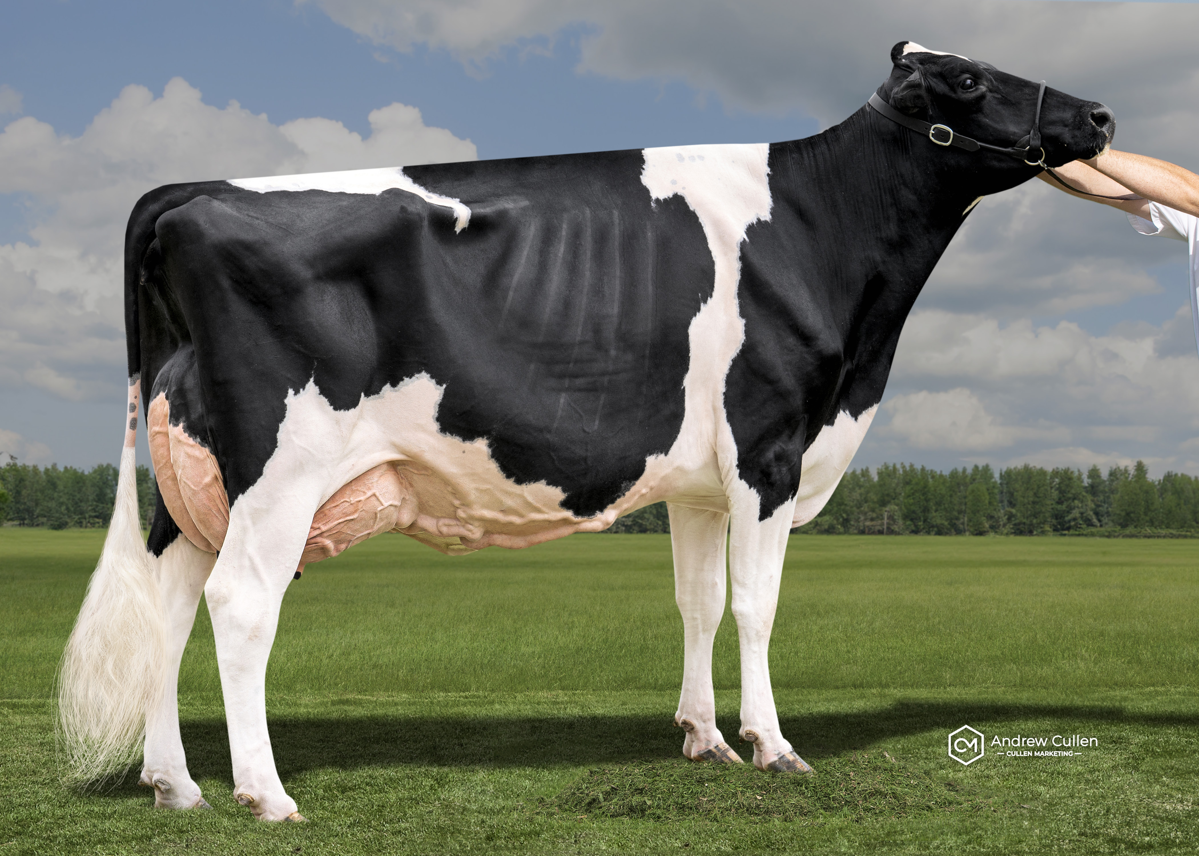 Katandra Park Mafia Bikini