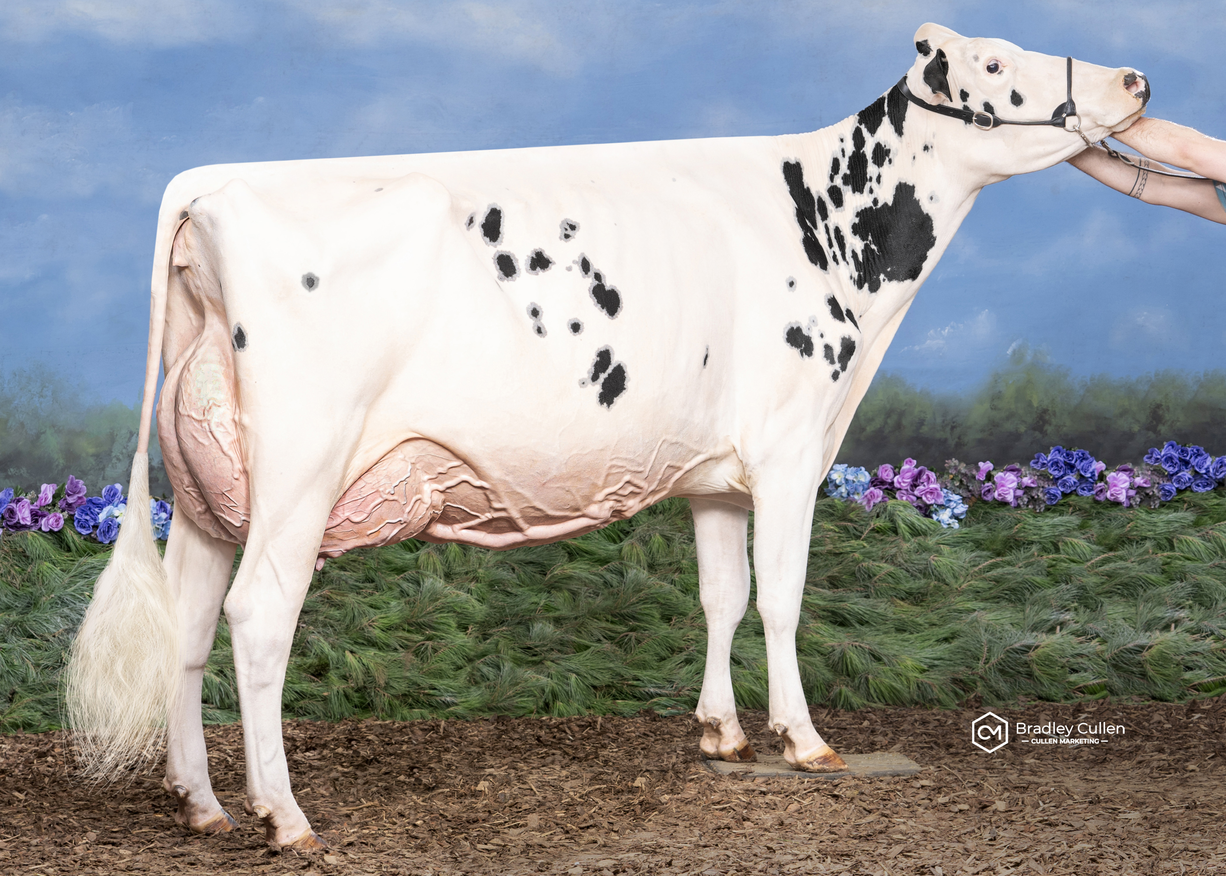 Glomar Hotline Sarah 6200