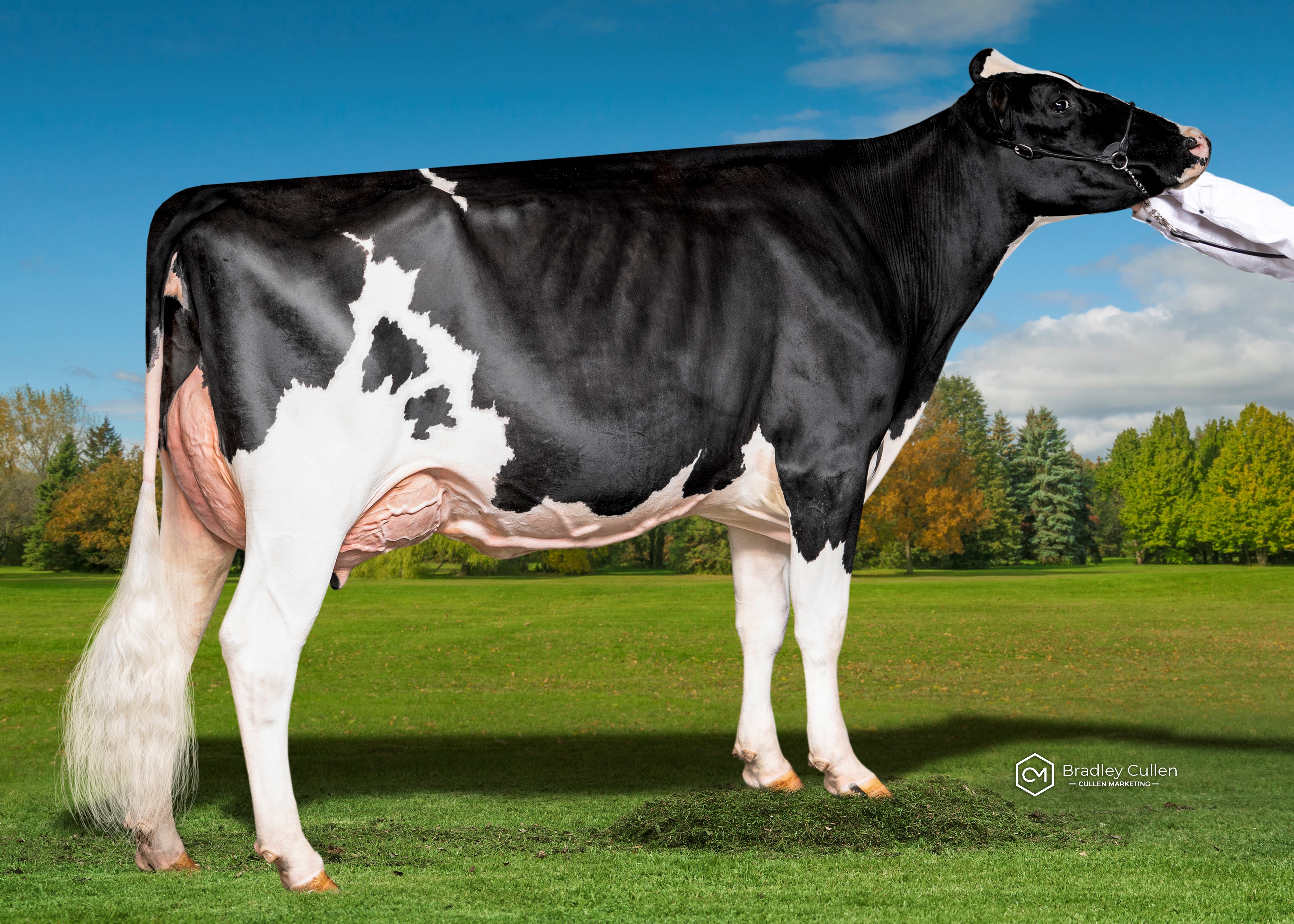 4TH - Avonlea Performance Ruth