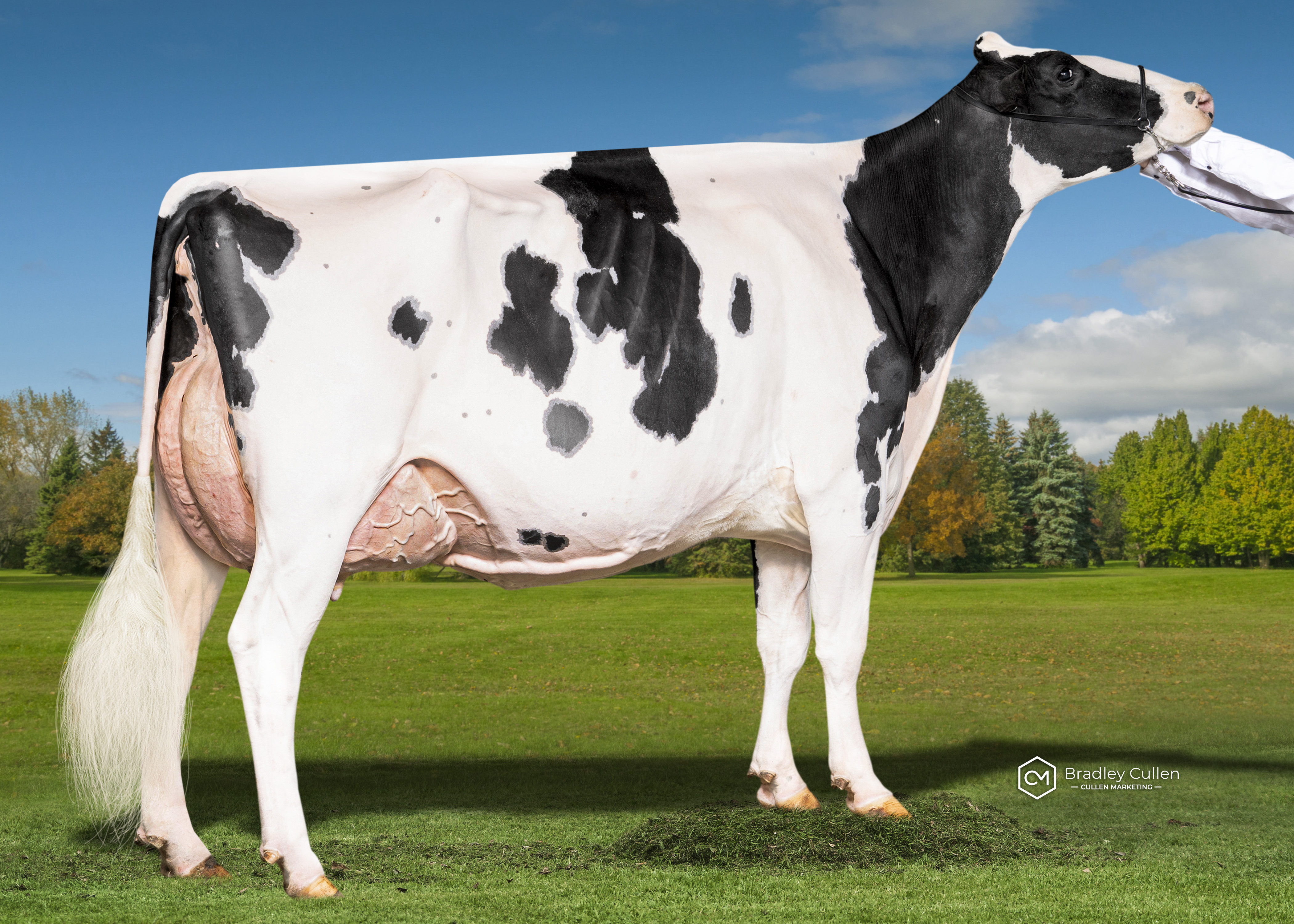 RESERVE - Eclipse Alltheway Princess-ET