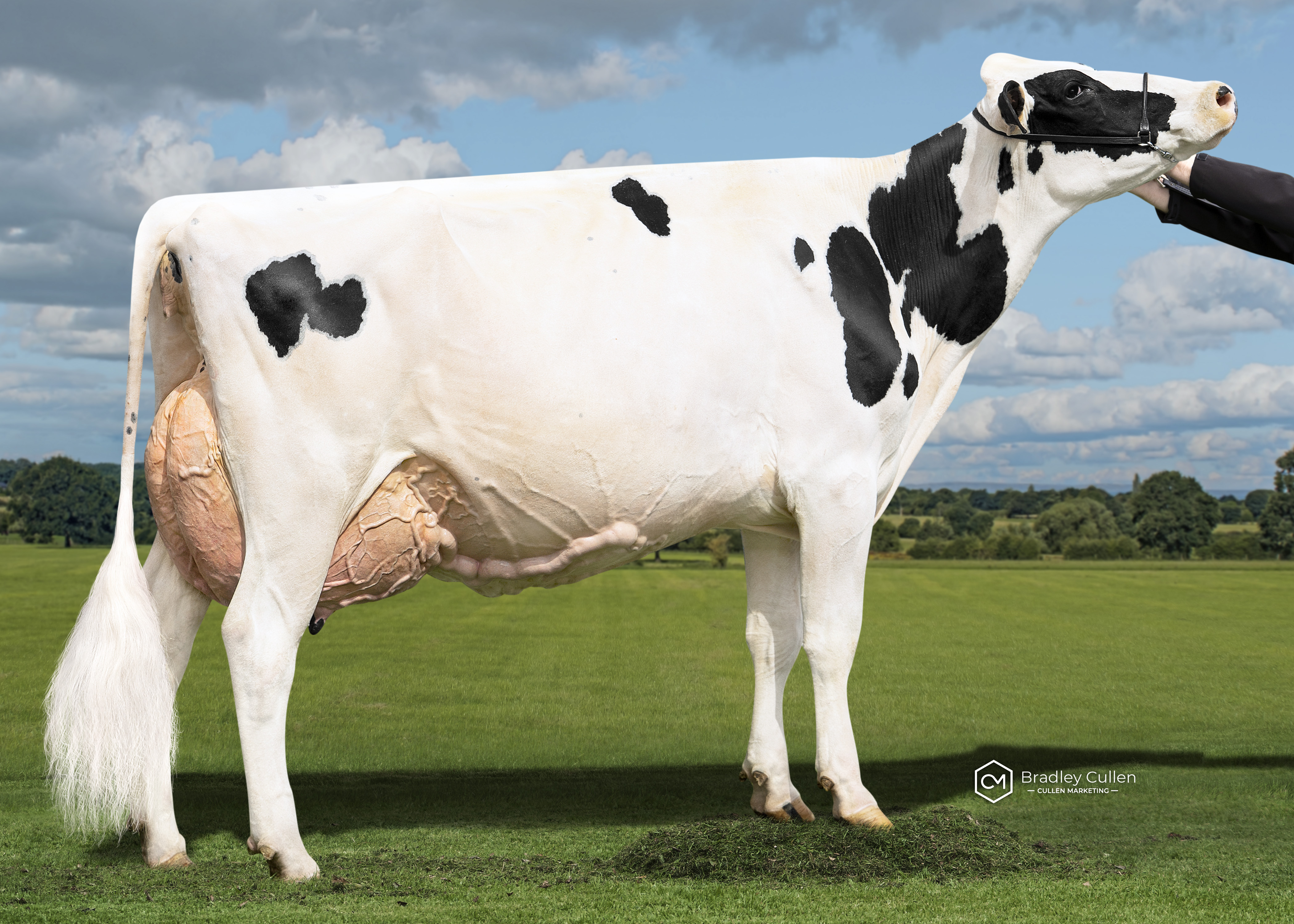 5TH - Robsvue Avalanche Penny