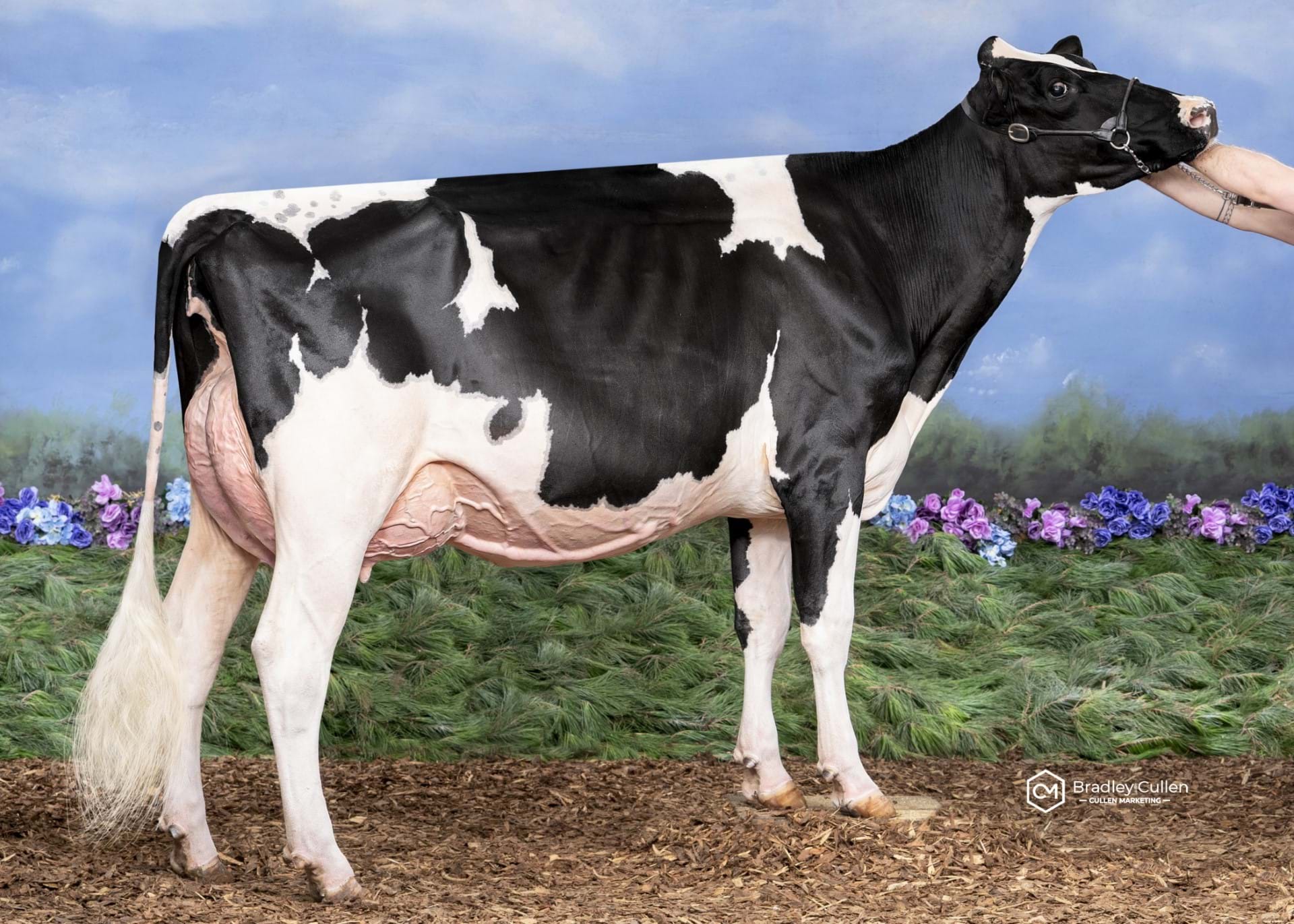 Instyle Doc Auromie-ET