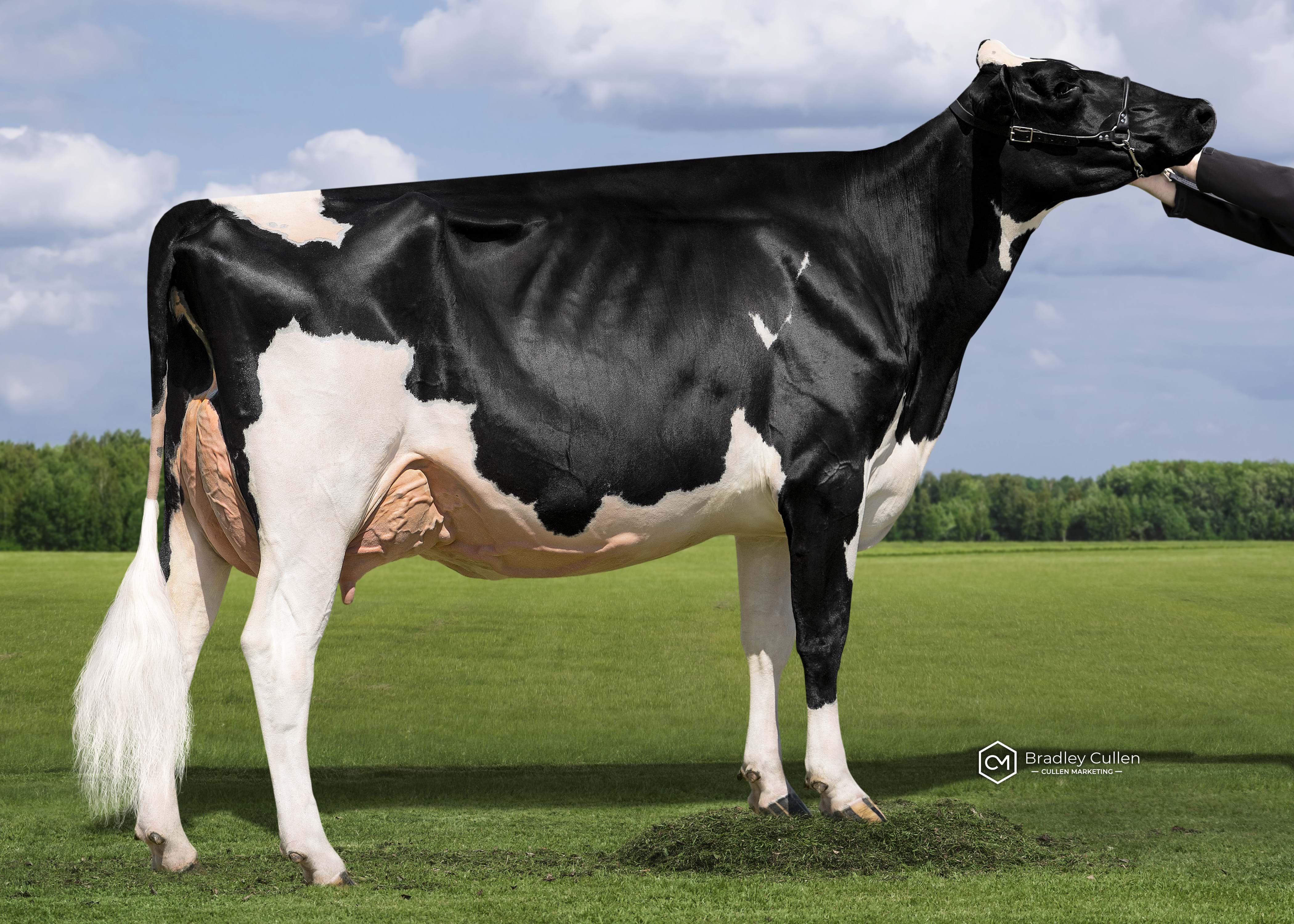 HM - Katandra Park Doorman Mercury-ET