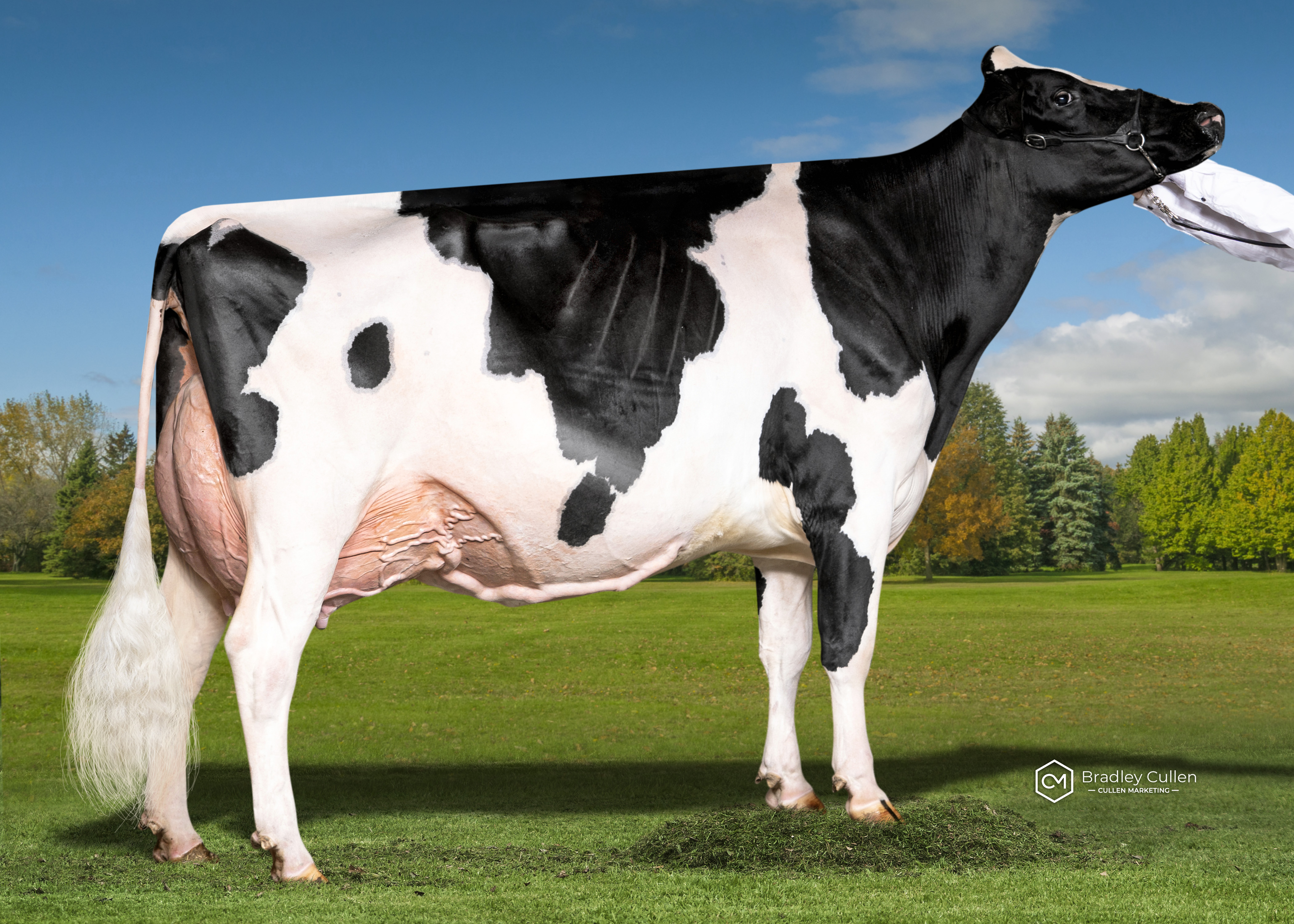 4 Yr Old:
View Fort Sidekick Lorie