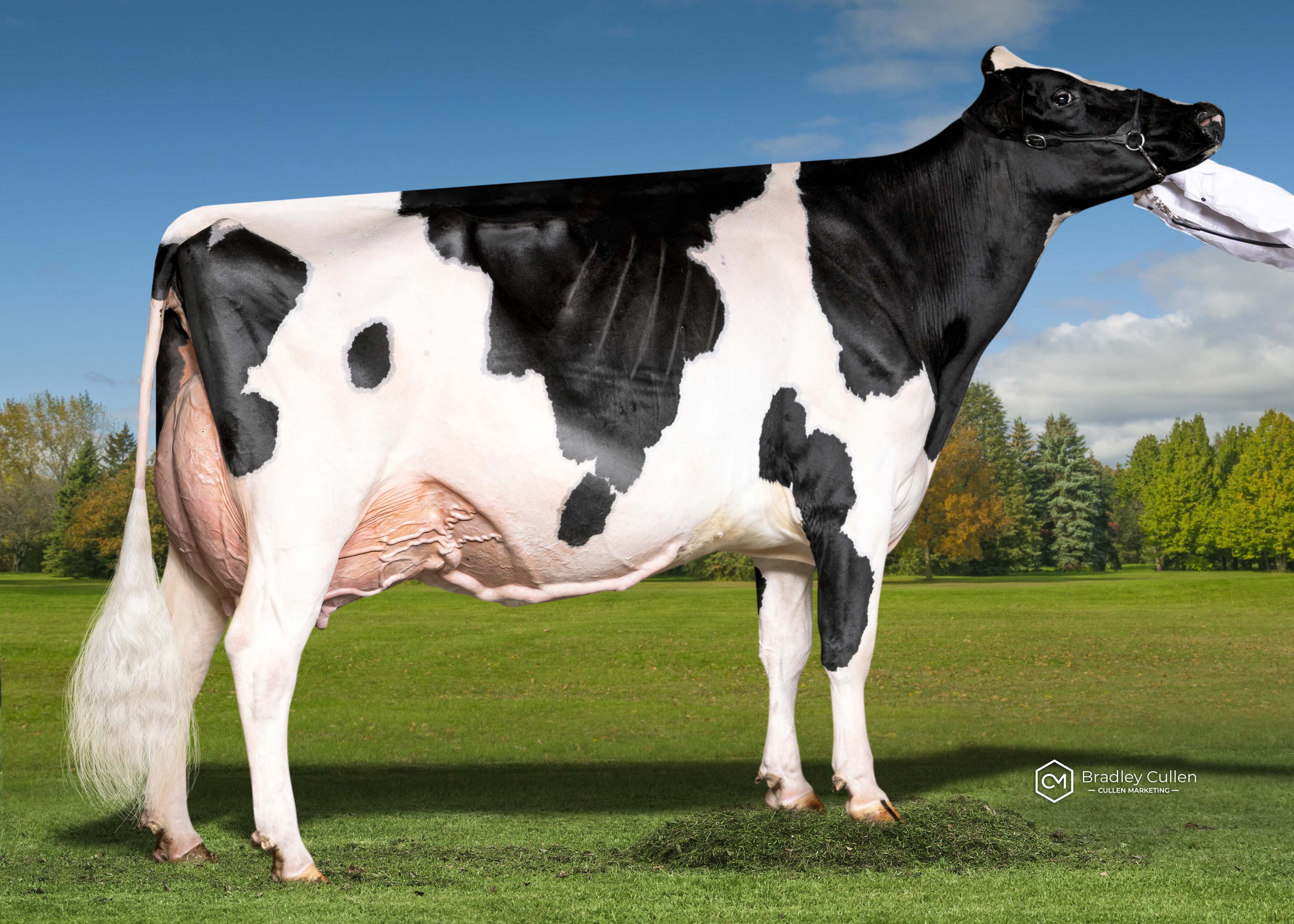 WINNER - View Fort Sidekick Lorie