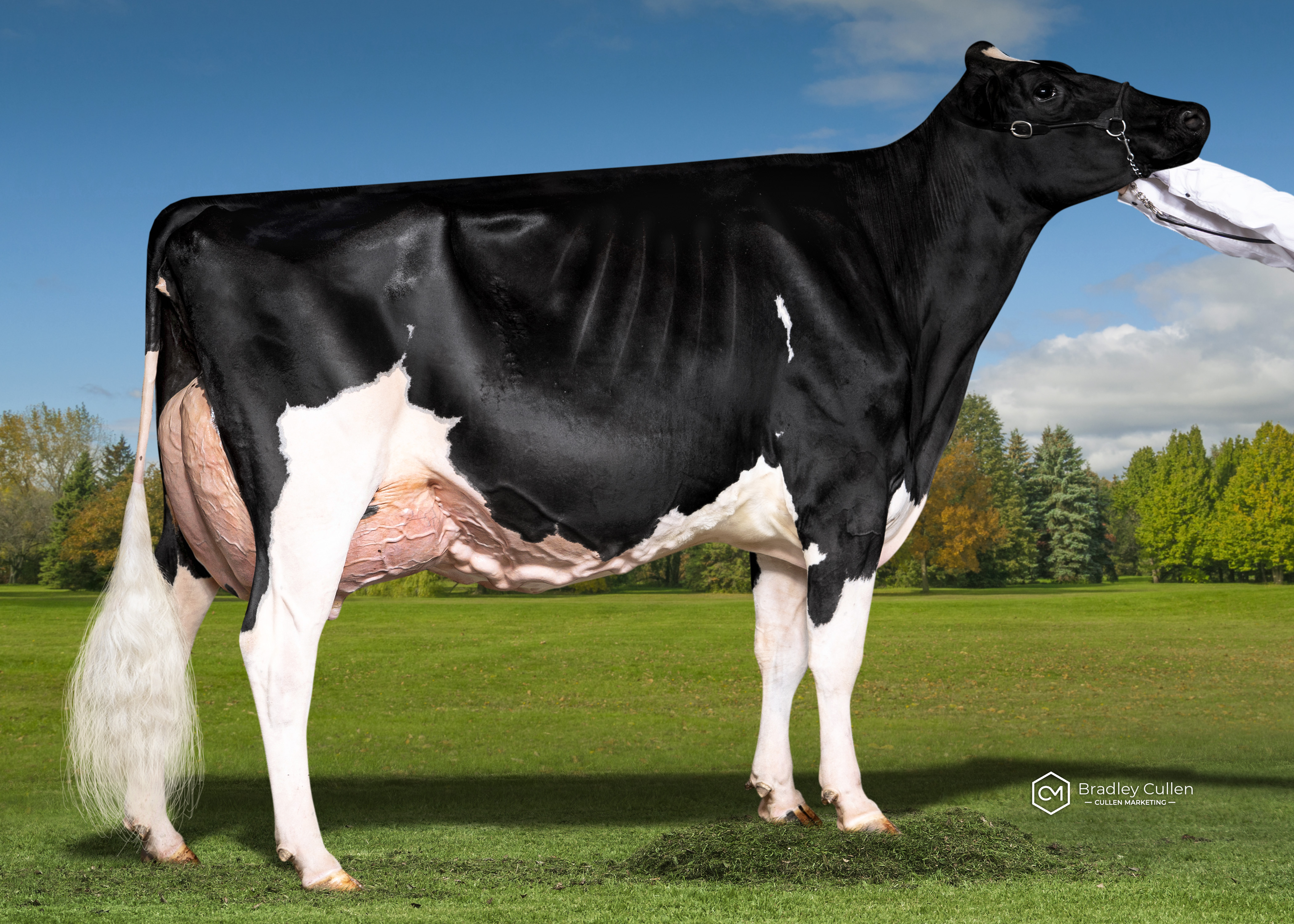 HM - Eclipse Brokaw Silver 3-ET