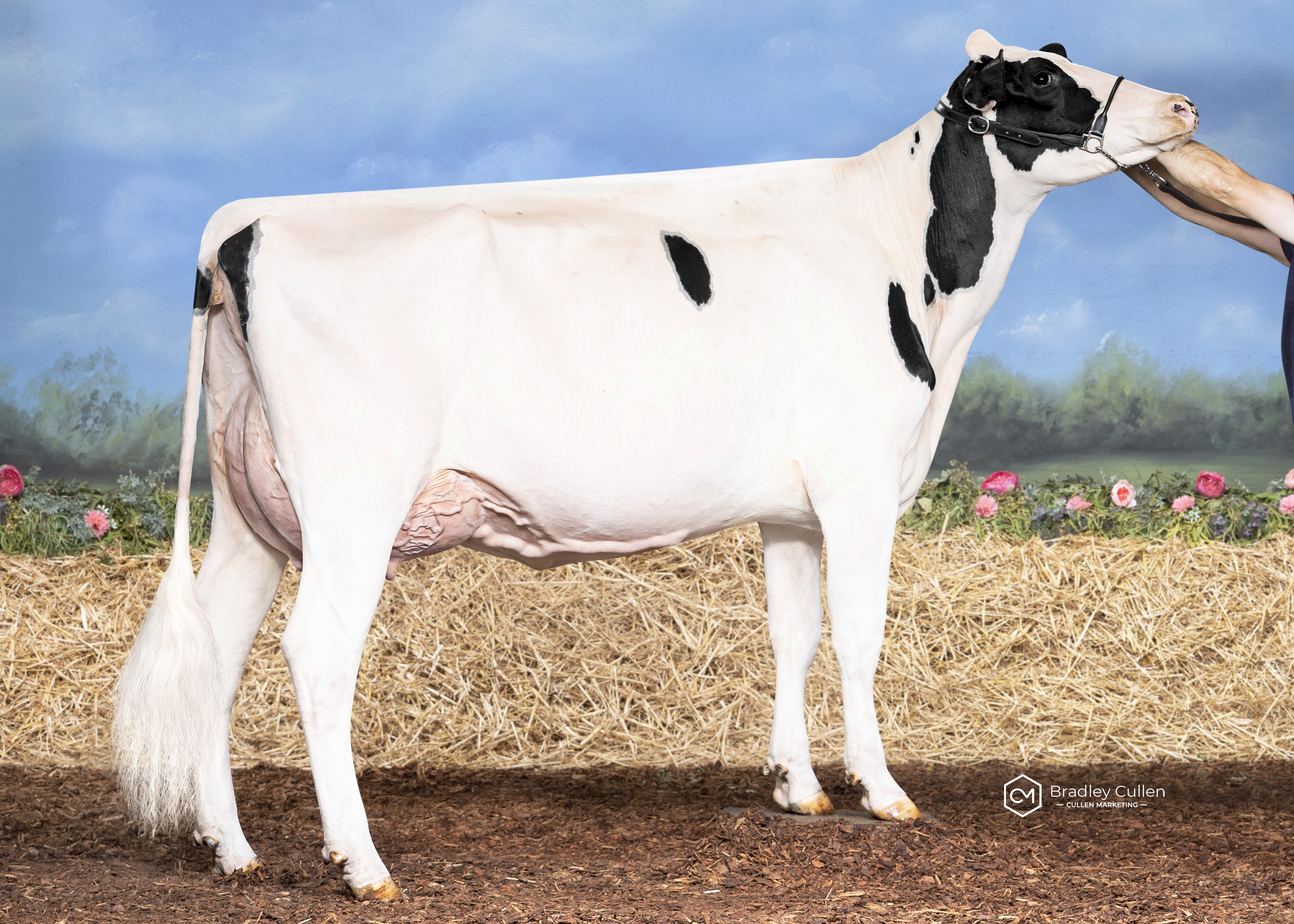 5TH - Quality Ridge Byway Kim