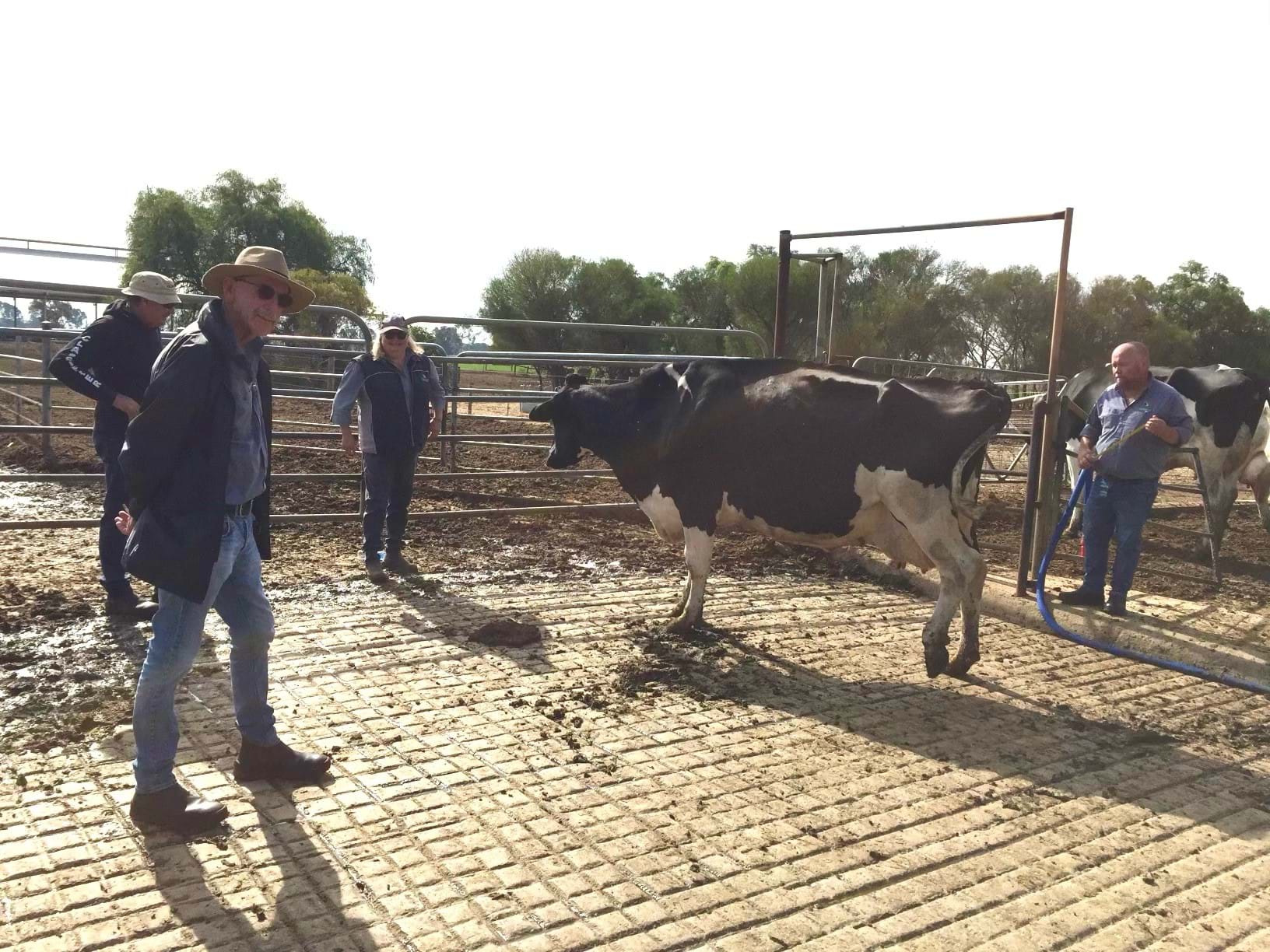 Phil Hentschke with the Classification Team